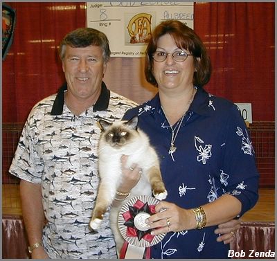 Tunacats Yuppie Guppie